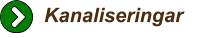 Kanaliseringar
